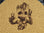 Omtech lasercutter
